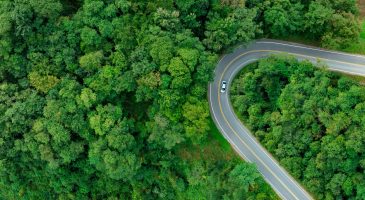 Auto im grünen kurvige Straße