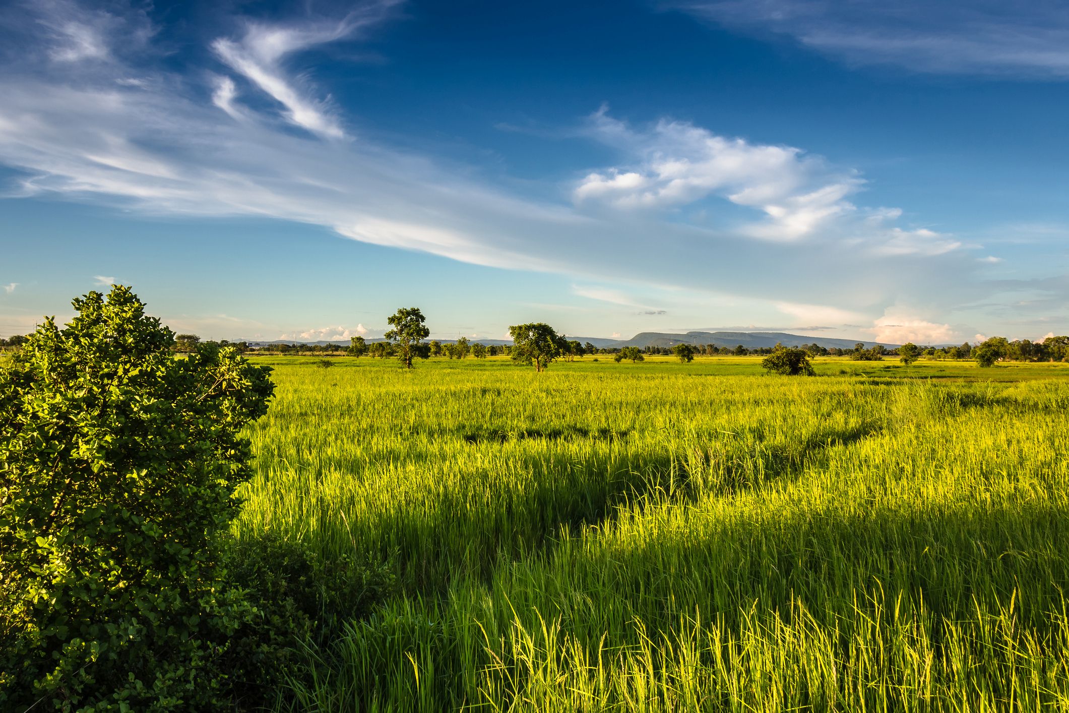Kompositversicherung 2030 | Teil 3: Lösungsoptionen und Denkansätze auf dem Weg ins Jahr 2030