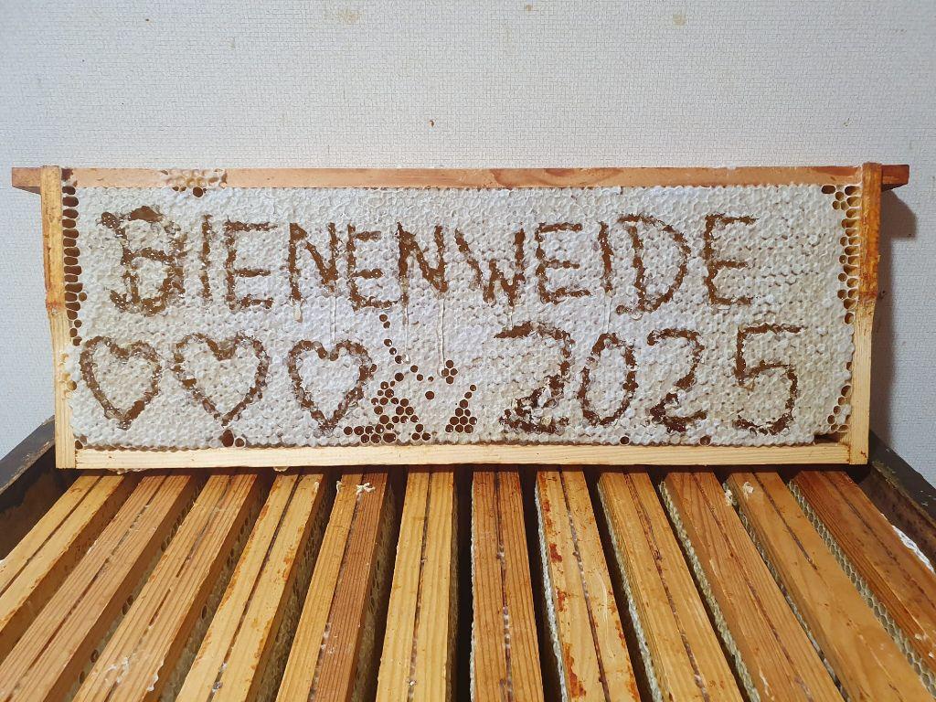 Wie wir mit nachhaltigem Engagement die Artenvielfalt fördern und dabei Genusserlebnisse erzeugen